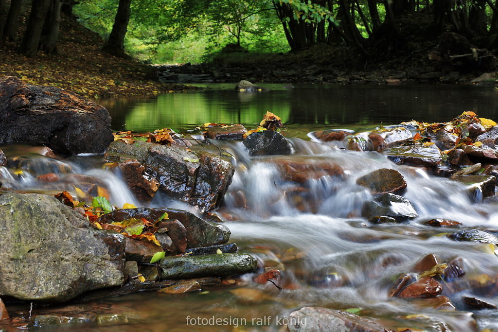 rk-fotodesign-0810-1914.JPG